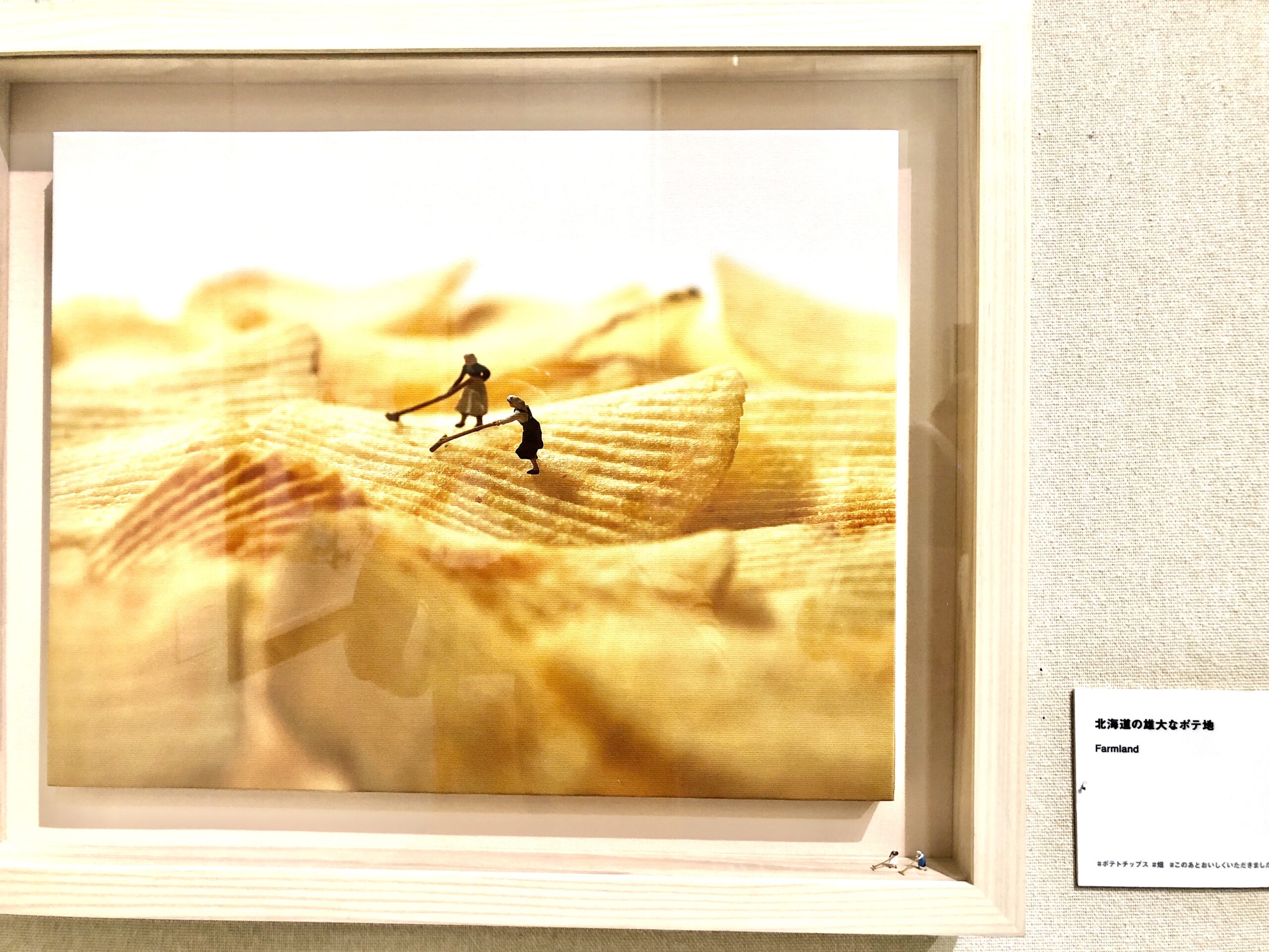 見立ての世界でアートしてみよう🎨 – 〜子どもたちから学んだこと